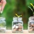 The Index Fund Bubble Explained